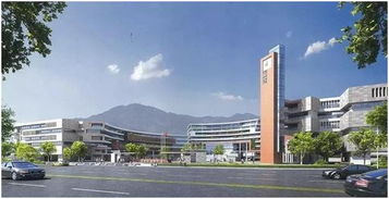 富力伯爵山 ∣ 书香萦绕,门外学府门里家