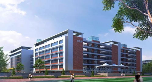 速看 东莞又有一批学校上新 有你家附近的吗