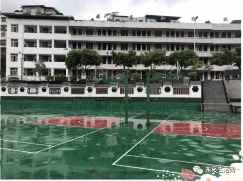 苍溪县东溪初级中学校2020年秋七年级招生啦