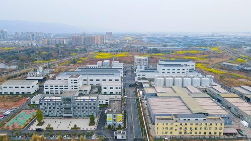 全力拼经济 冲刺开门红丨金尚环保 新增产线扩产能 今年经营目标突破20亿