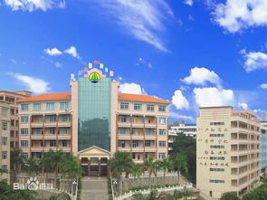 教育部发通知 茂名这4所学校要出名了,国防教育特色学校