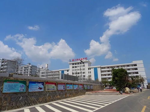 重磅 同安这4所学校同时被国家点名表扬 看看有你的母校吗