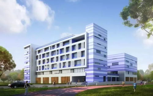 上海五区传喜讯 新复旦系 超牛国际化 你家门口有吗