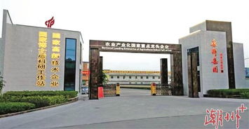 潮安 擦亮食品产业的金字招牌