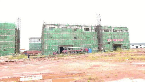 全力推进重点项目建设 保灵现代医药仓储养生保健食品生产项目预计年底实现调试生产