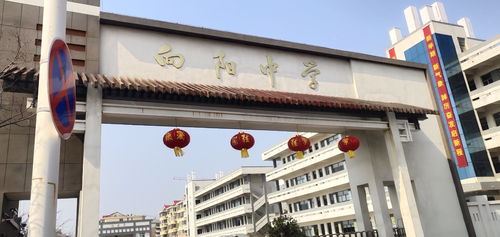 响水县向阳中学