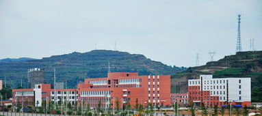 张家川 打造回乡经济的升级版