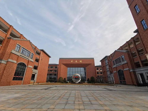 双校同庆新春，共迎虎年吉祥